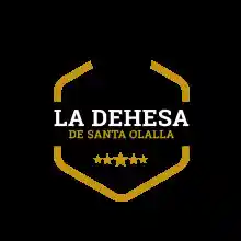 CUÑA DE QUESO GRATIS