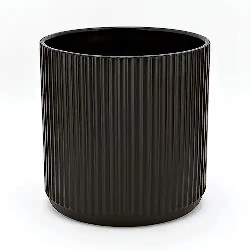 Maceta de cerámica 20.3 cm Amazon Basics