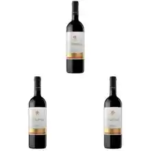 Pack 3x botellas de vino Ederra Crianza Rioja