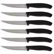 Pack de 6 cuchillos Quttin de Sierra 11cm Basic