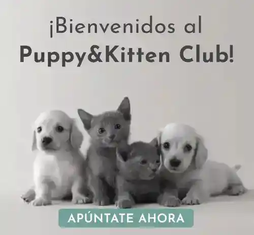 Packs de comida para gatito y cachorro GRATIS (se paga 3€ de envío sólo)