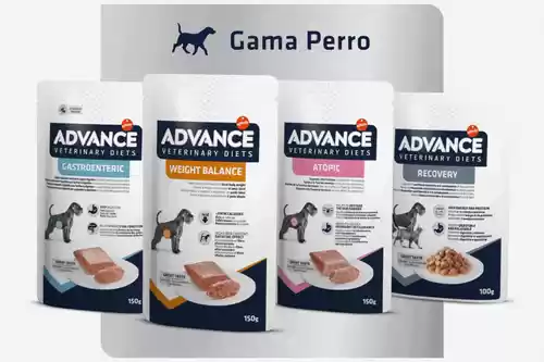 Prueba gratis: Comida húmeda para perro / gato Advance