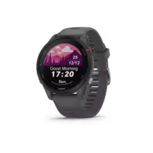 Reloj Deportivo Garmin Forerunner 255 (46 mm, NFC, GPS)